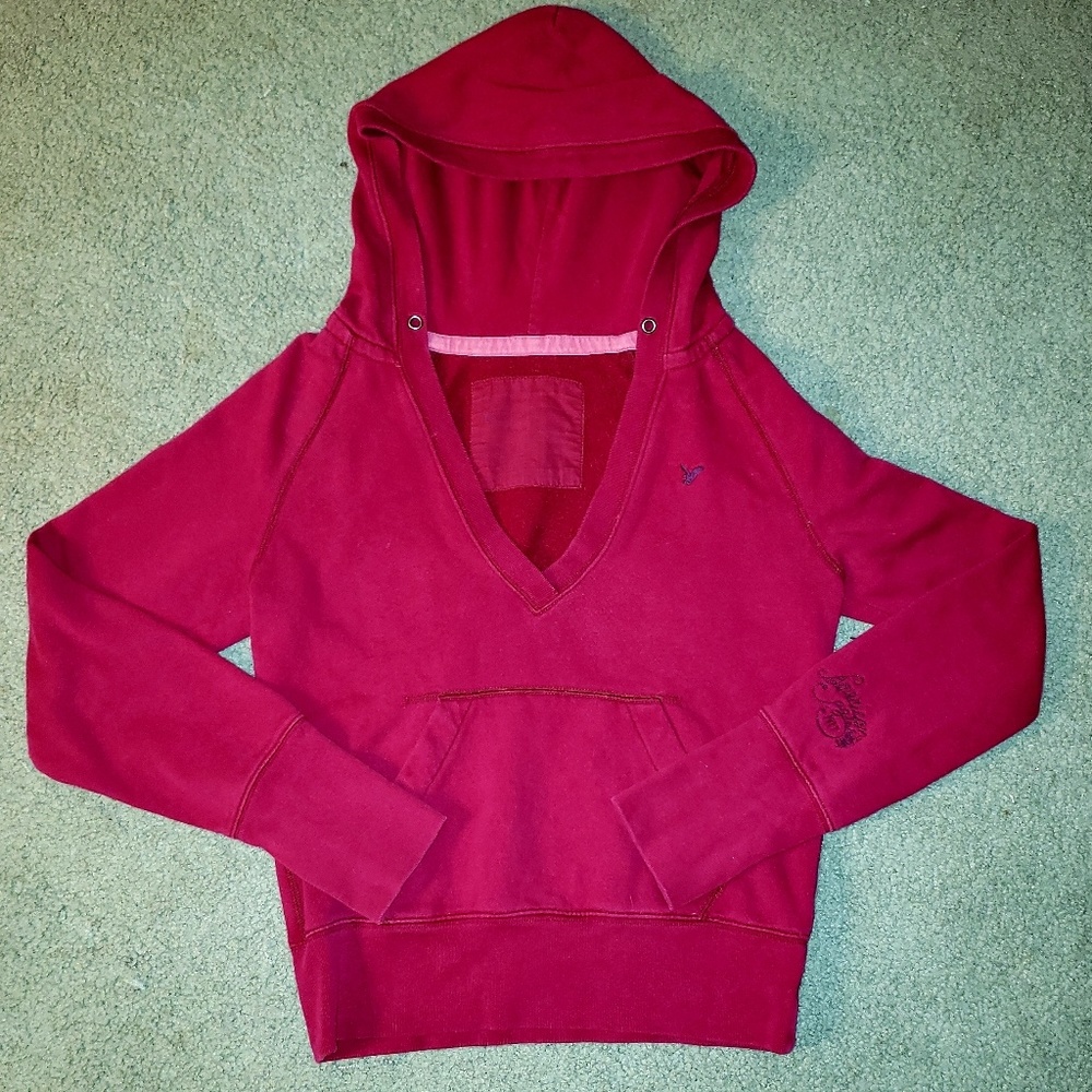 American Eagle Outfitters 1977 Hoodie Sweater
